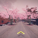 Image for article titled Make cherry blossom trees magically appear in your neighborhood